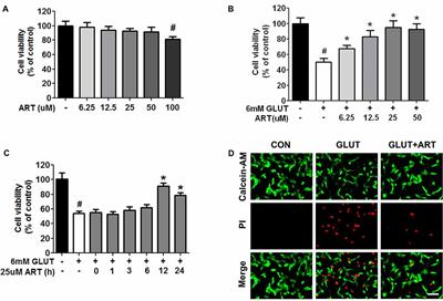 Artemisinin Prevents Glutamate-Induced Neuronal Cell Death Via Akt Pathway Activation